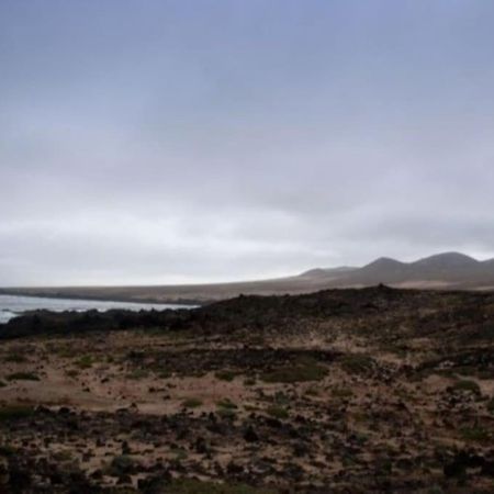 Casa Caleta Caballo Caleta de Caballo Bagian luar foto